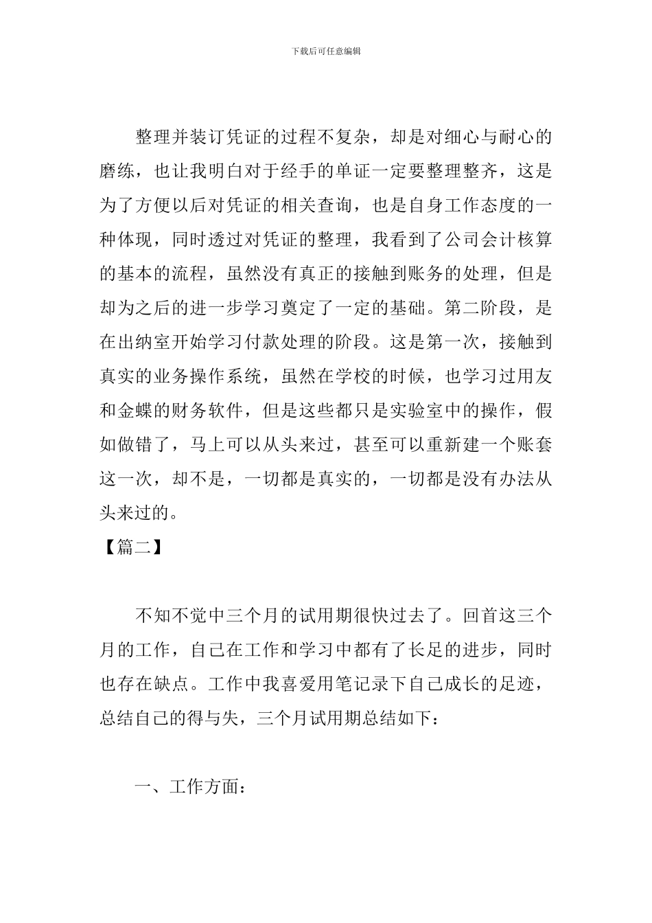 出纳人员试用期工作总结开头模板_第2页