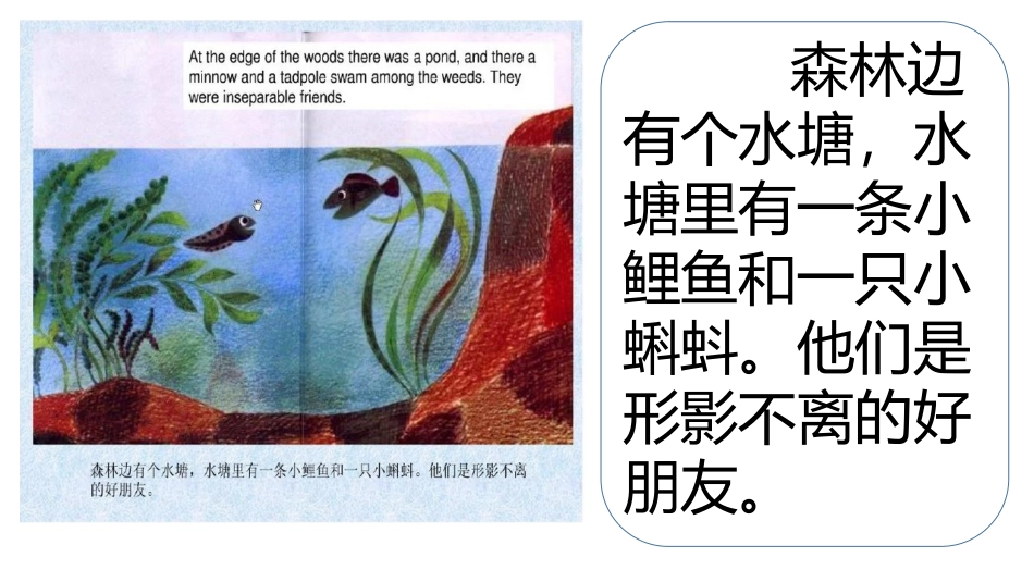 绘本《鱼就是鱼》_第2页