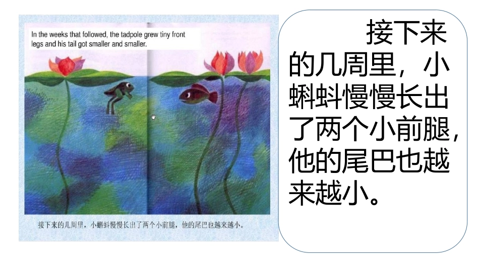 绘本《鱼就是鱼》_第3页