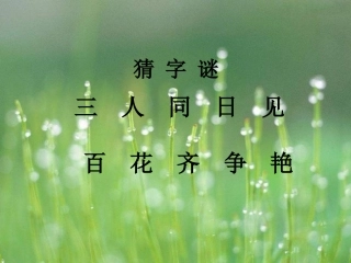 春雨蒙蒙地下