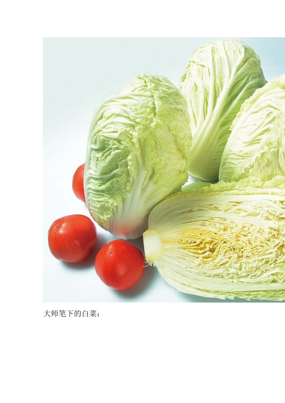 第三课：白菜_第3页