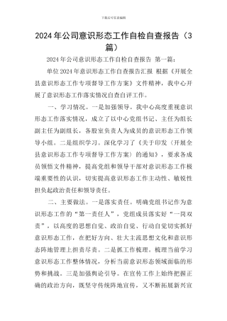 2024年公司意识形态工作自检自查报告