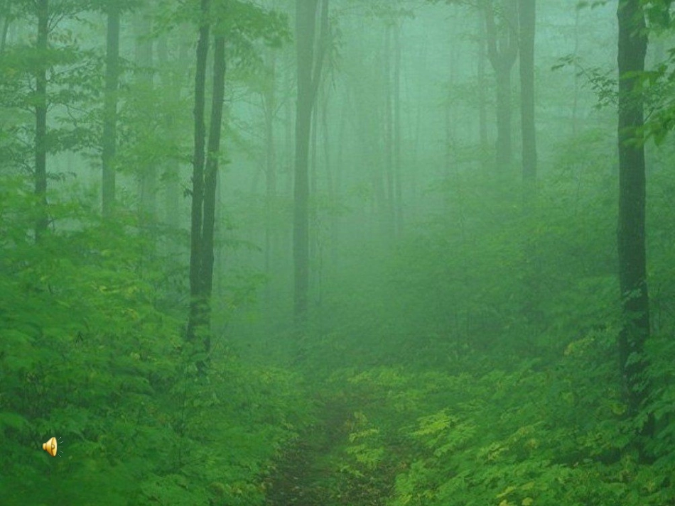 29、父亲和鸟_第2页