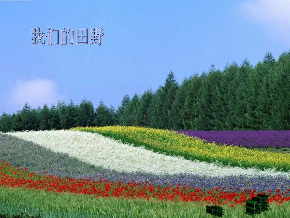我们的田野2_第1页
