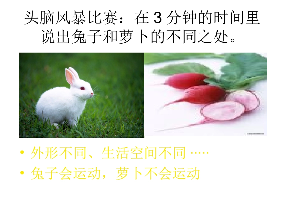 《动物-植物人》_第2页