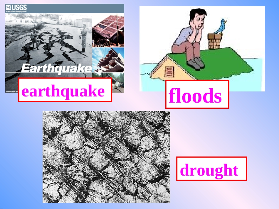 M6unit5-reading_第3页