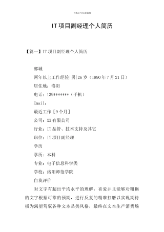 IT项目副经理个人简历
