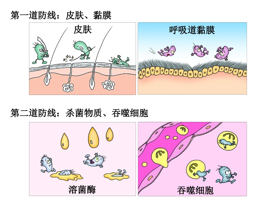 2015免疫调节_第3页