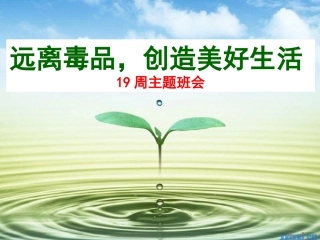 5.参与禁毒宣传活动-(2)