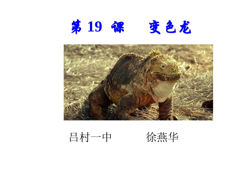 十七变色龙-(4)_第1页