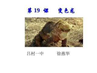 十七变色龙-(4)