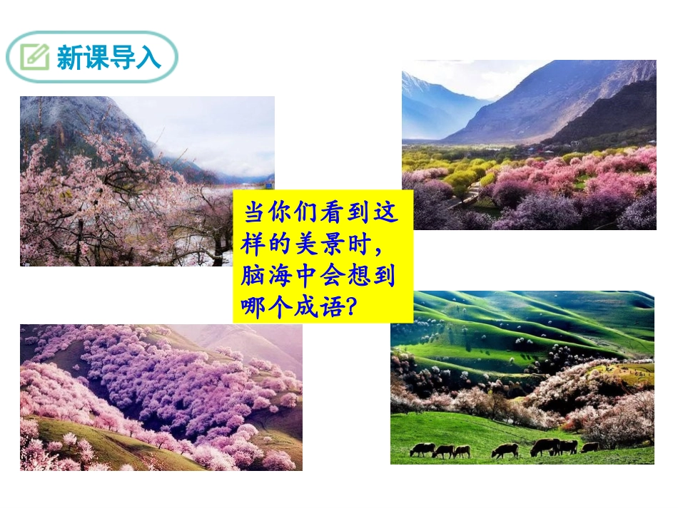 12桃花源记_第3页
