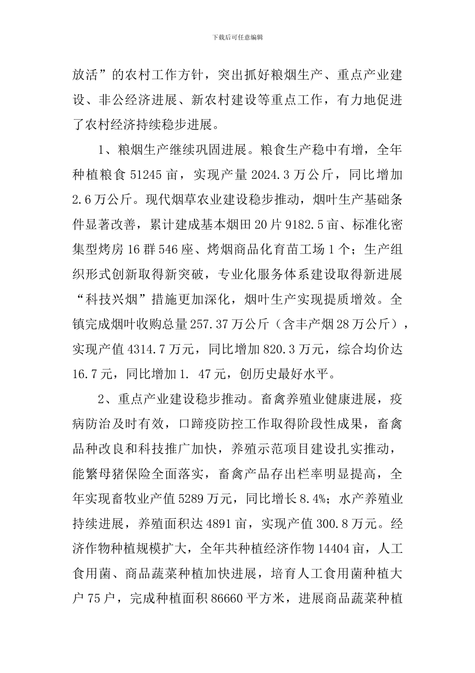 乡镇人代会镇长工作报告_第2页