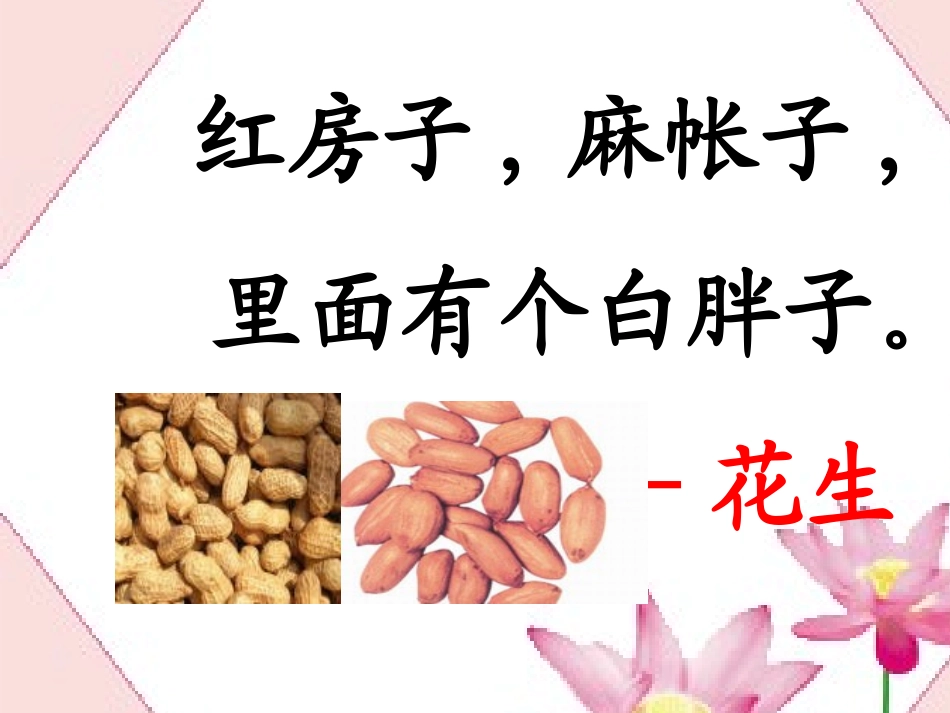 26、《小松鼠找花生果》ppt课件_第1页