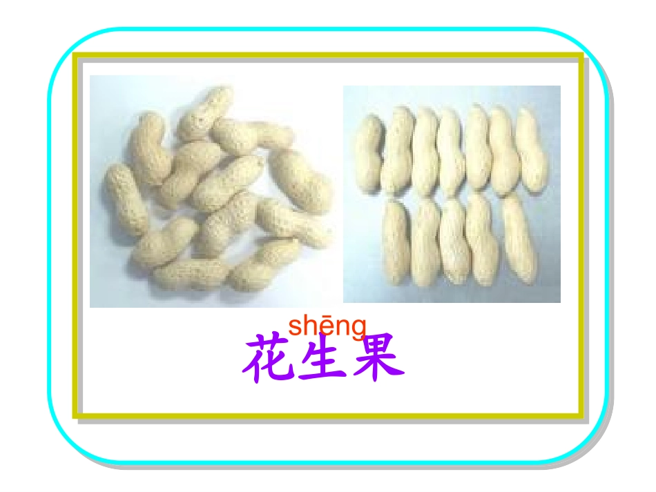 26、《小松鼠找花生果》ppt课件_第2页