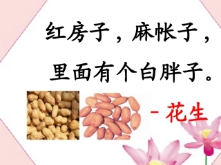 26、《小松鼠找花生果》ppt课件