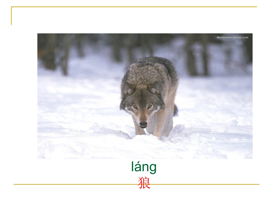 10[1].狼和小羊_第1页