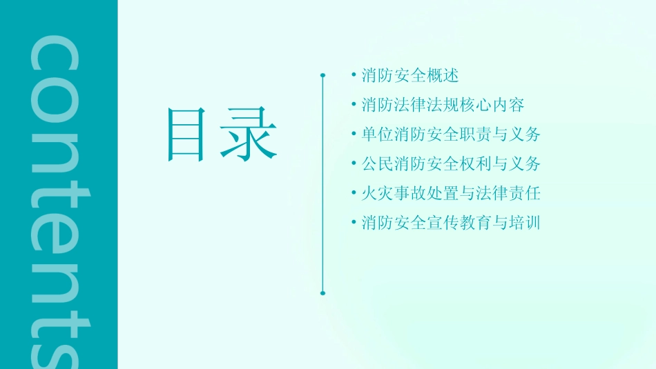 2024版消防安全法律法规知识 _第2页