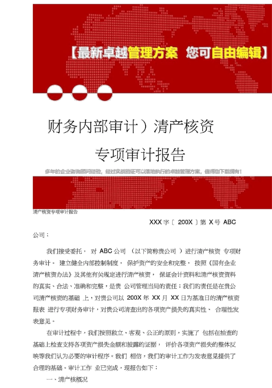 2020年清产核资专项审计报告_第1页