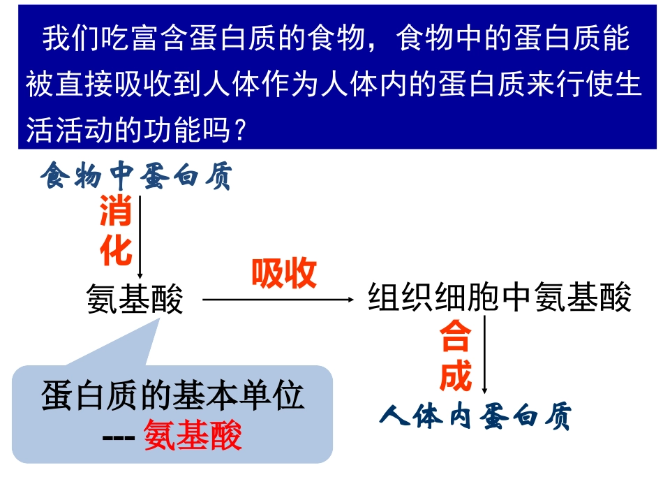2015-9-21必修一第二章第二节蛋白质-zw_第3页