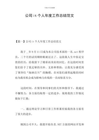 公司it个人年度工作总结范文
