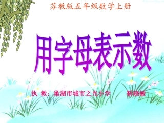 1.用含有字母的式子表示简单的数量关系和公式