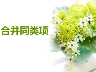 2.2.1合并同类项