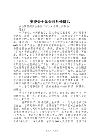 安委会全体会议县长讲话发言