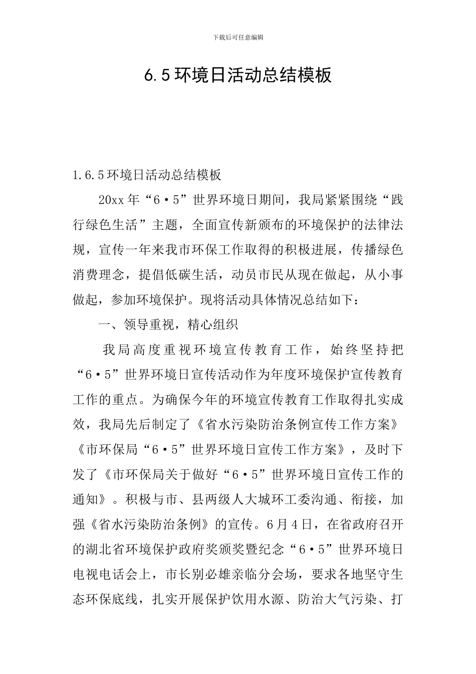 6.5环境日活动总结模板_第1页