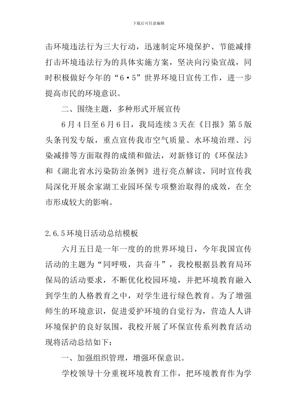 6.5环境日活动总结模板_第2页