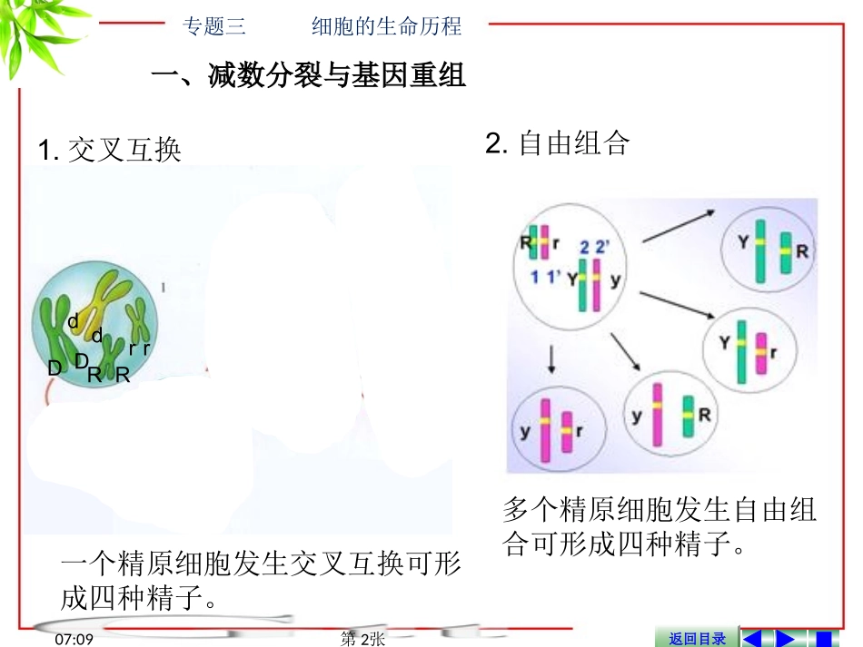专题三-------细胞的生命历程_第2页