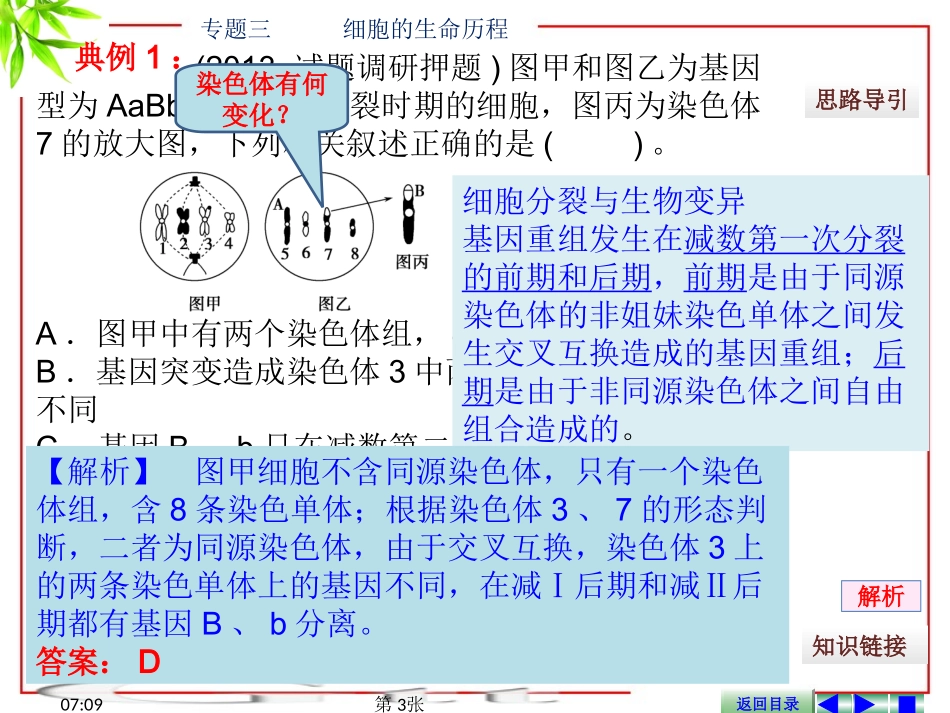 专题三-------细胞的生命历程_第3页