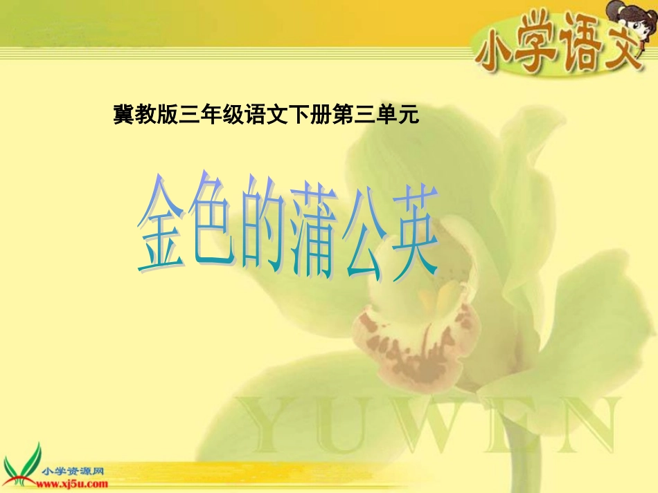 14.金色的蒲公英_第1页