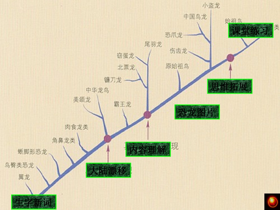 恐龙无处不有-(3)_第2页