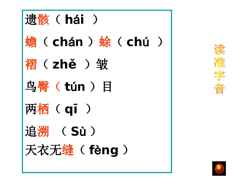 恐龙无处不有-(3)_第3页