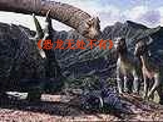 恐龙无处不有-(3)