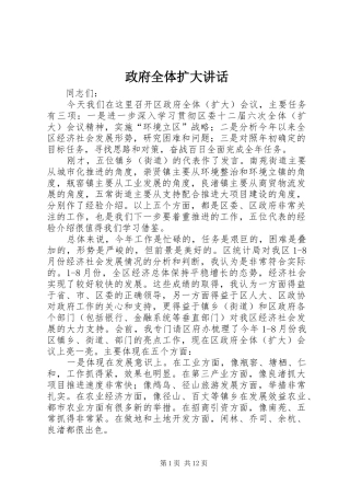 政府全体扩大讲话发言
