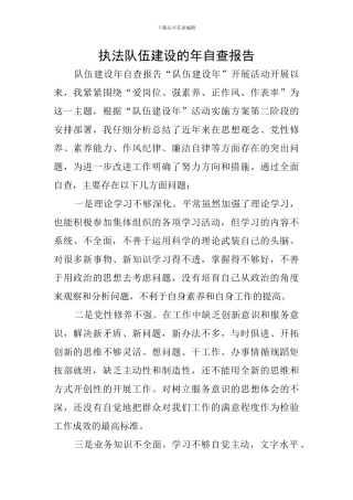 执法队伍建设的年自查报告