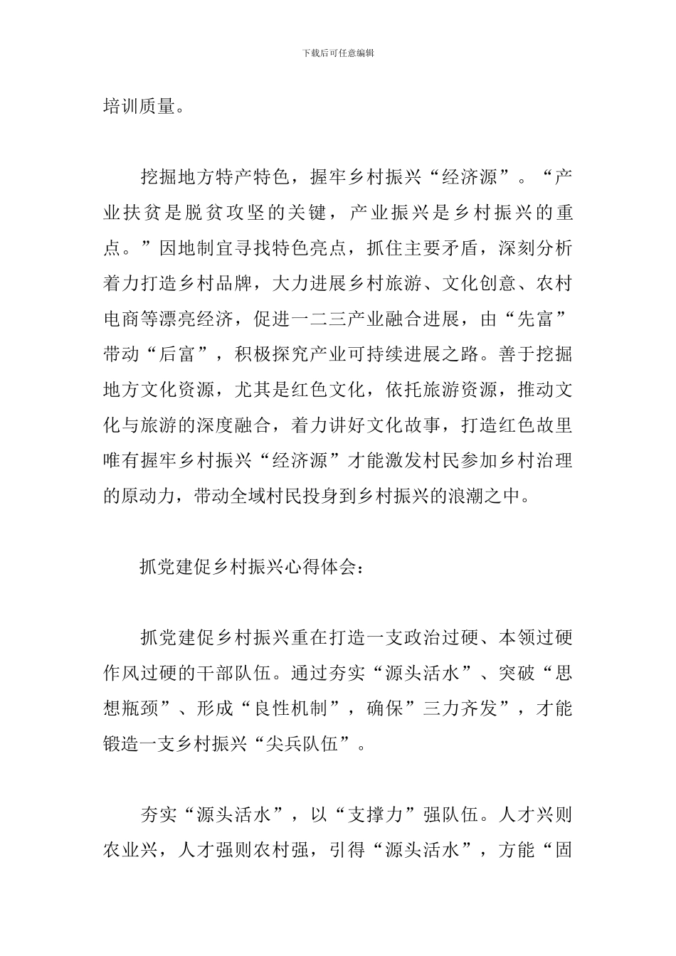 2024抓党建促乡村振兴心得体会范文精选2篇_第3页