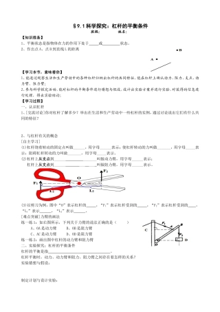 9.1科学探究：杠杆的平衡条件(导学案)