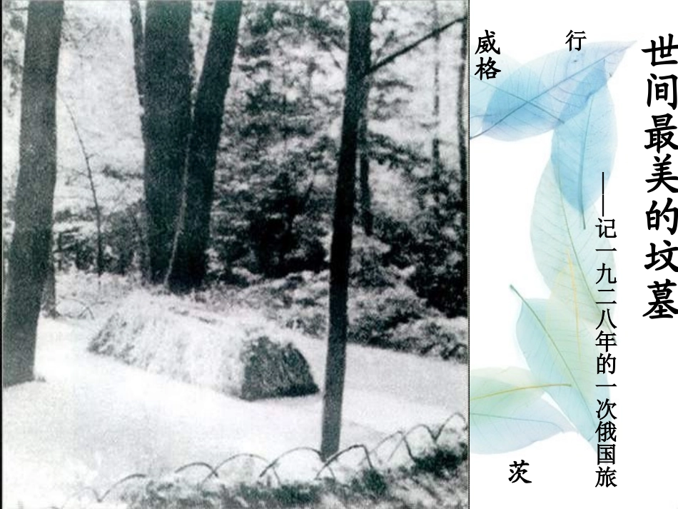 世间最美的坟墓00_第1页