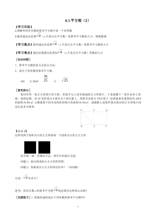 6.1平方根(2)