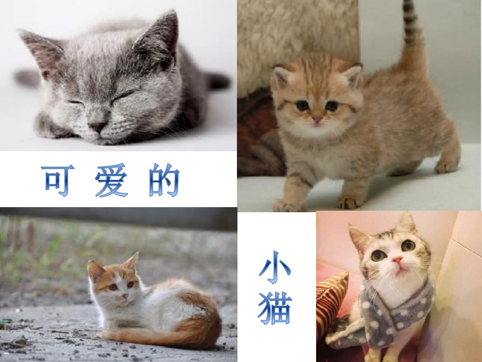 猫虎歌-课件2_第2页