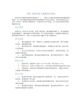 2024北海市重大规划项目招标 