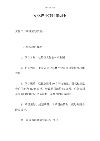 文化产业项目策划书