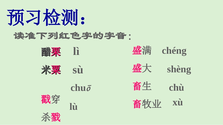 十七变色龙-(5)_第3页