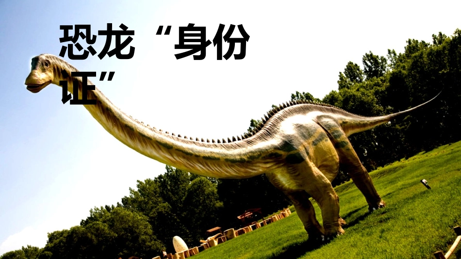 综合性学习探索恐龙世界_第3页