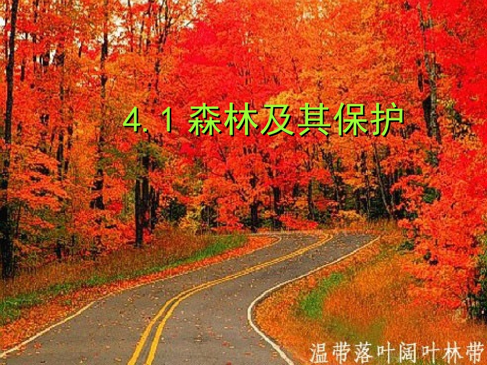 4.1森林及其保护_第1页