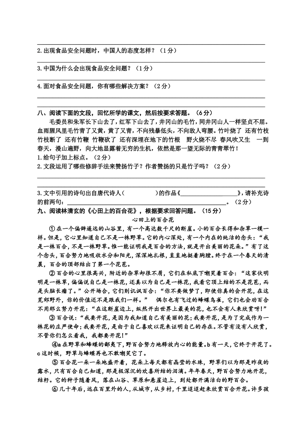 (前川一小付惠珍)2015年小学语文六年级复习卷_第3页