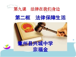 加强宪法监督-(2)